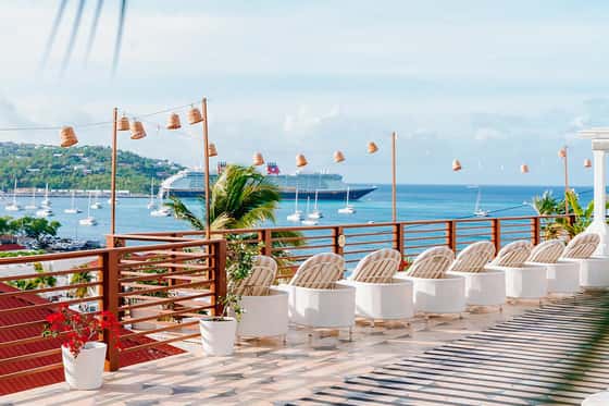 The Pink Palm Hotel