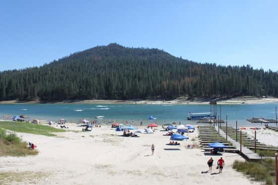 The Pines Resort