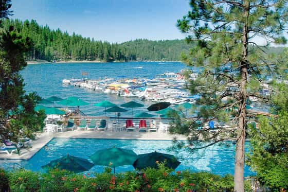 The Pines Resort