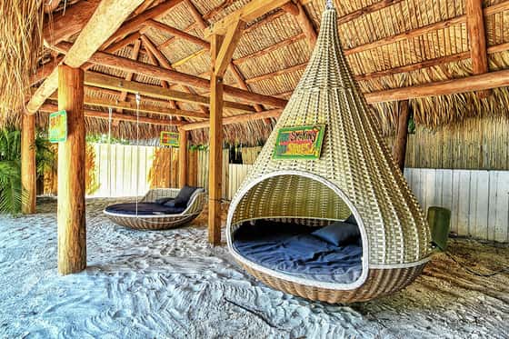 Siesta Key Palms Resort