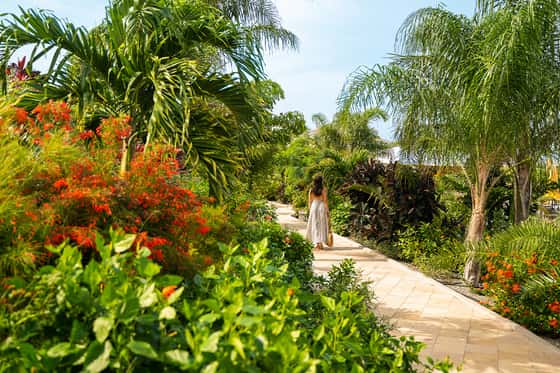Golden Rock Dive & Nature Resort