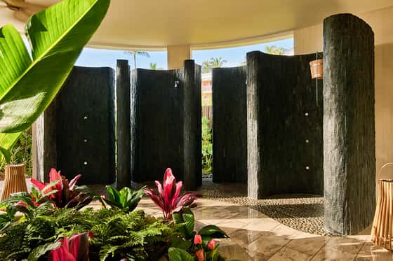 Grand Wailea Maui, A Waldorf Astoria Resort