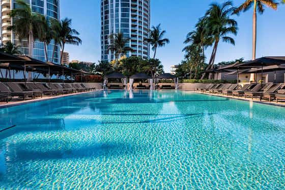 The Ritz-Carlton Coconut Grove, Miami