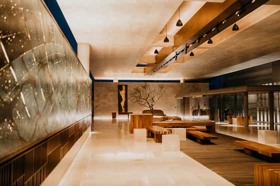 Solaz, a Luxury Collection Resort, Los Cabos