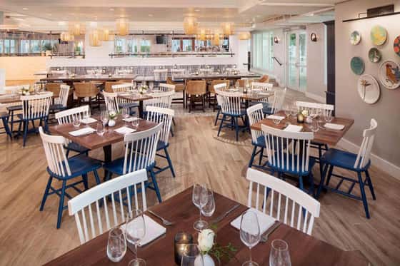 The Reach Key West, Curio Collection by Hilton