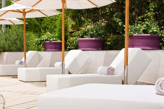 Alta Las Palomas Hotel