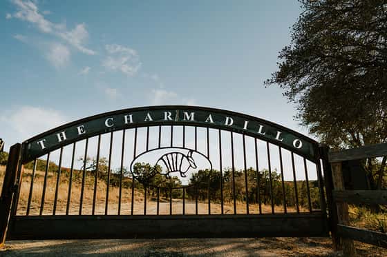 The Charmadillo