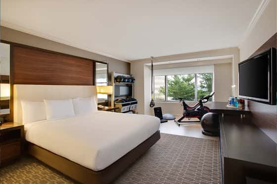 Hilton Mclean Tysons Corner