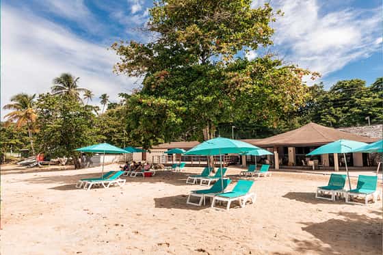 Mount Irvine Bay Resort