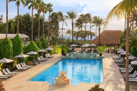 Solei Beach Club at Kimpton Surfcomber Hotel