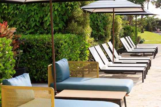 Solei Beach Club at Kimpton Surfcomber Hotel