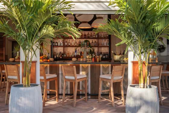 Islander Resort Islamorada