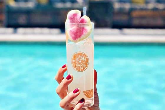 Kimpton Rowan Palm Springs Hotel