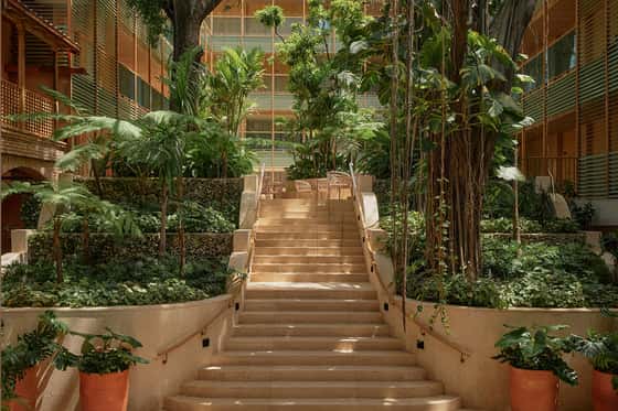 Kimpton Las Mercedes