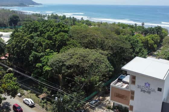 Blooma Boutique Hotel