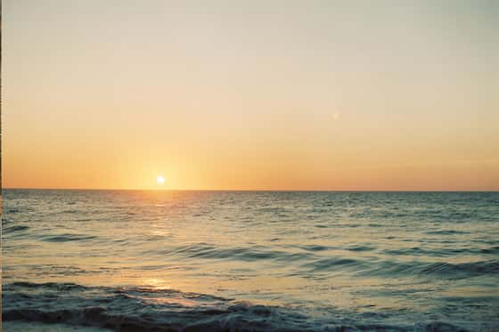 La Joya Sayulita