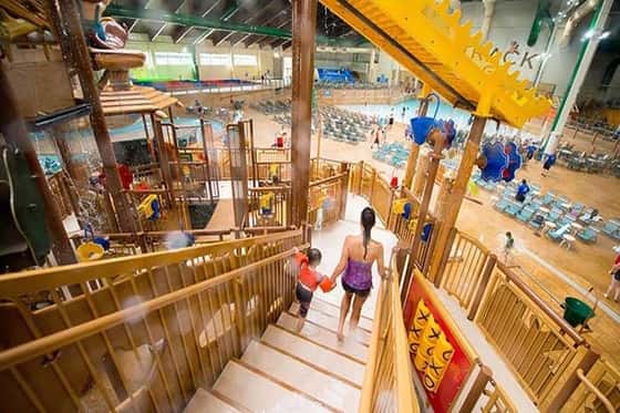 Great Wolf Lodge Webster
