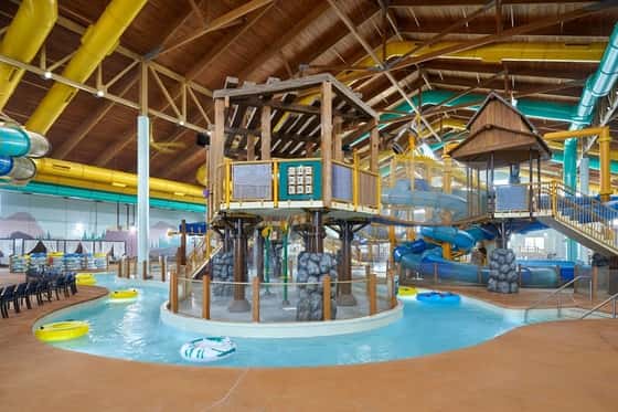 Great Wolf Lodge Webster
