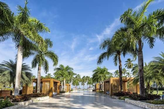 Viva V Samana by Wyndham, Adult All-Inclusive