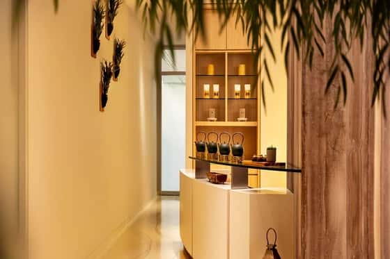 Leaf Spa Chicago at Fairmont Chicago