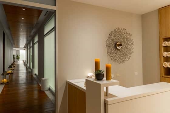Leaf Spa Chicago at Fairmont Chicago