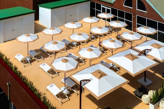 Newport Marriott Hotel & Spa