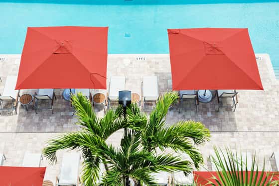 Epicurean Hotel - Tampa