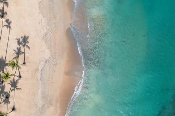 Wyndham Alltra Punta Cana, An All-Inclusive Resort
