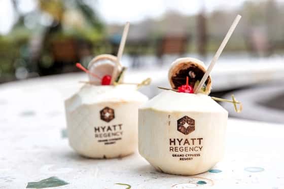 Hyatt Regency Grand Cypress Resort