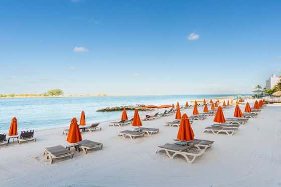 Dolphin Sands Clearwater Beach