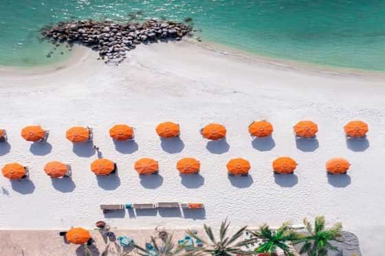Dolphin Sands Clearwater Beach
