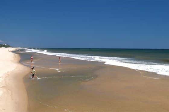 Wavecrest Resort