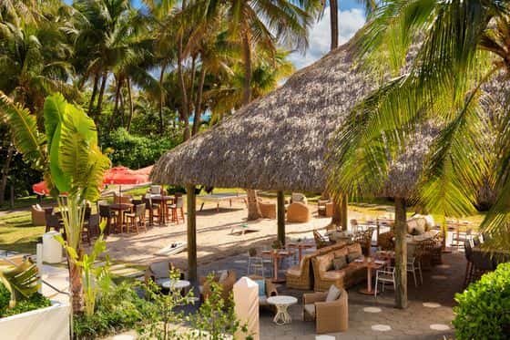Solei Beach Club at Kimpton Surfcomber Hotel