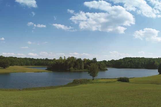 Wilderness Presidential Resort