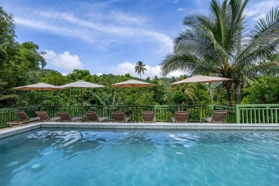 Fond Doux Eco Resort