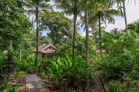Fond Doux Eco Resort