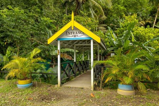 Fond Doux Eco Resort