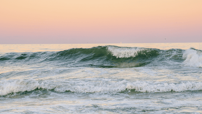 Wave Resort