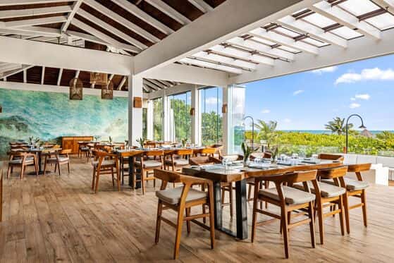 Secrets Playa Mujeres Golf & Spa Resort, Adult All-Inclusive