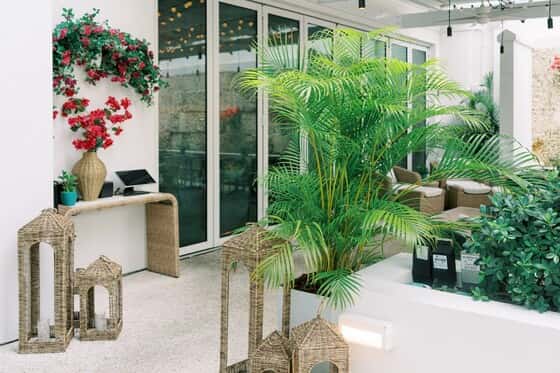 The Sarasota Modern