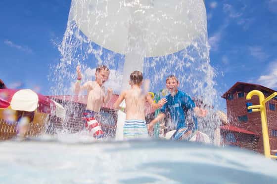 Great Wolf Lodge Grapevine
