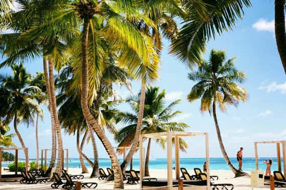 Viva Dominicus Beach by Wyndham - All Inclusive