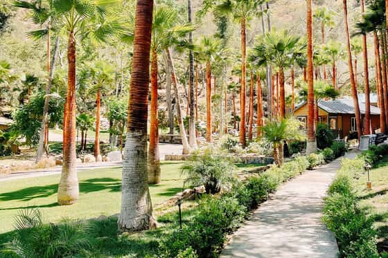 Bandy Canyon