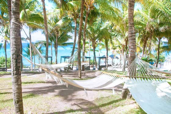 Garrafon Reef Park & Beach Club