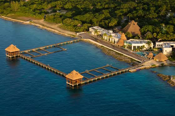 Dolphin Discovery Isla Mujeres