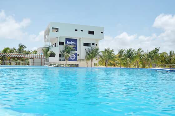 Dolphin Discovery Playa del Carmen