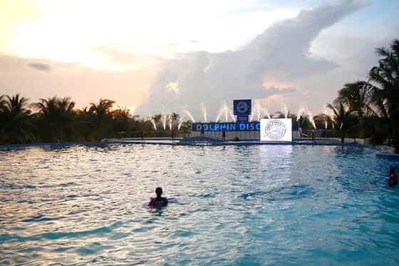 Dolphin Discovery Playa del Carmen