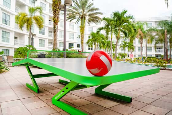 Melia Orlando Celebration