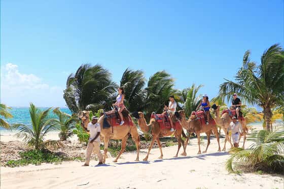 Maroma Adventures & Beach Club