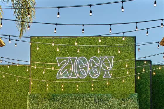 Hotel Ziggy Los Angeles